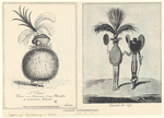 Image ID 817973