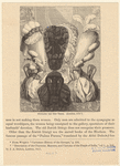 Image ID 817994