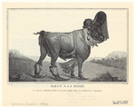 Image ID 817997