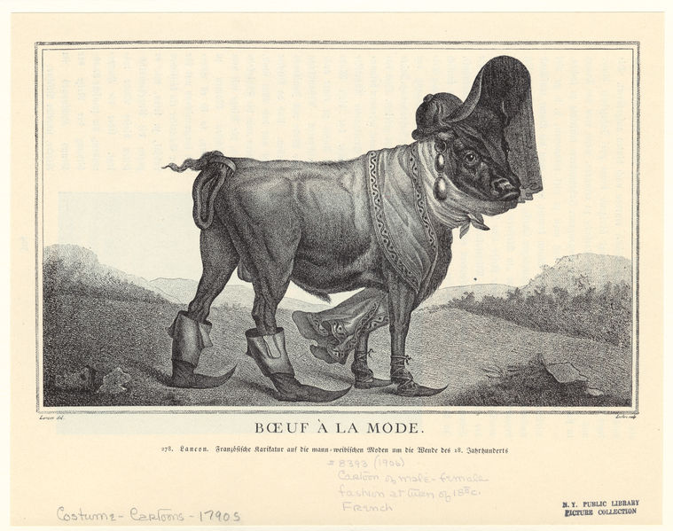 Image ID 817997
