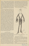 Image ID 818046