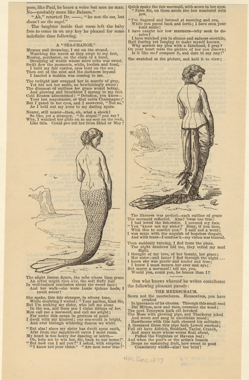 Image ID 818048
