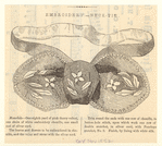 Image ID 818176