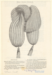Image ID 818179
