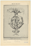 Image ID 818500