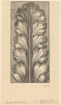 Image ID 818531
