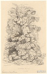 Image ID 818538