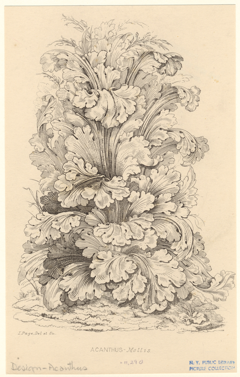 Image ID 818538
