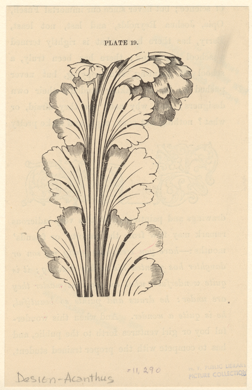Image ID 818541
