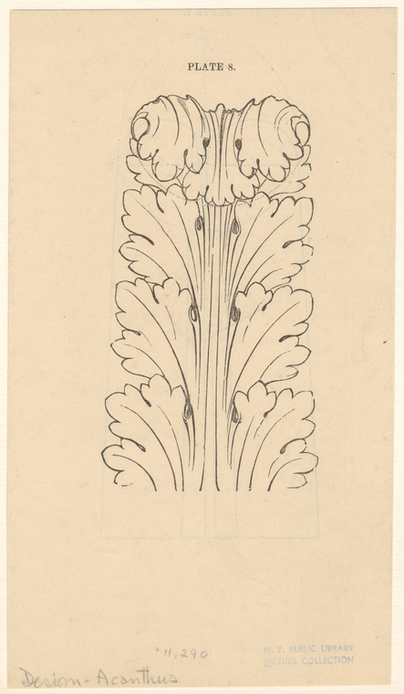 Image ID 818542
