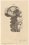Image ID 818544
