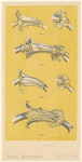 Image ID 818546