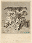 Image ID 818548
