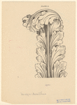 Image ID 818549