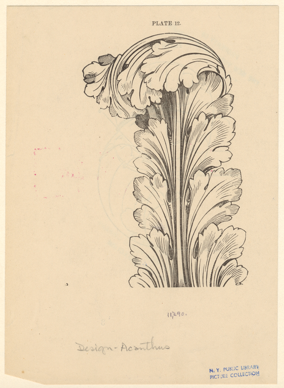 Image ID 818549
