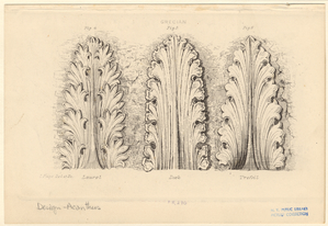 Image ID 818554