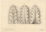 Image ID 818554