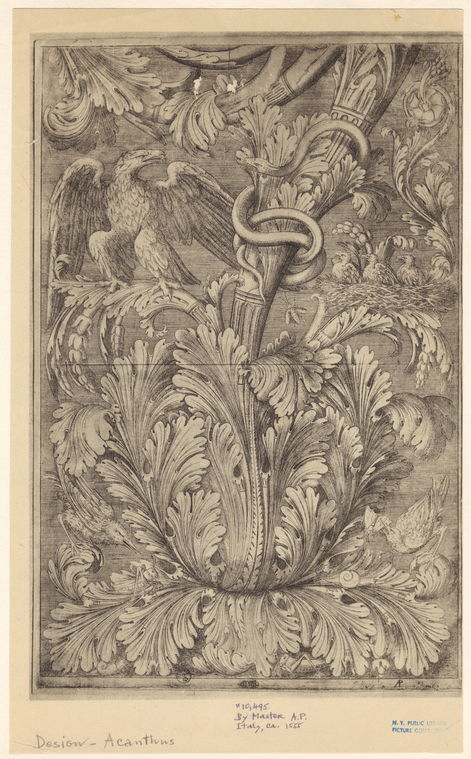 Image ID 818556

