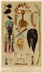 Image ID 818590