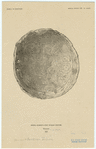 Image ID 818595