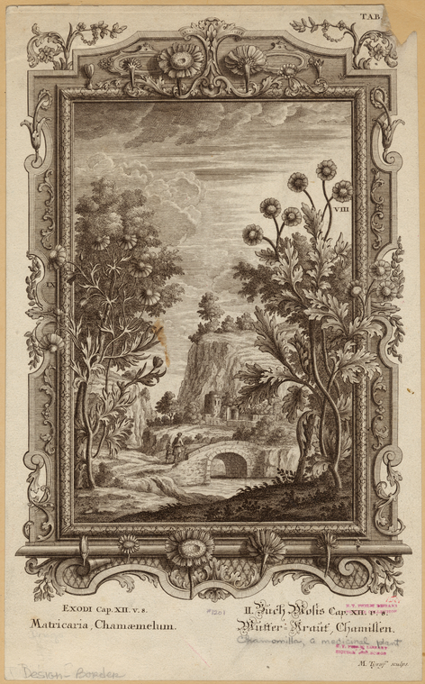 Image ID 818759
