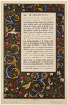 Image ID 818852