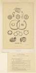 Image ID 818923