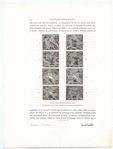 Image ID 818933