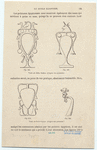 Image ID 818974
