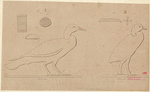 Image ID 818984