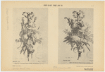 Image ID 819158
