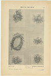 Image ID 819163