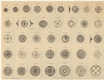 Image ID 819230