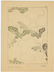 Image ID 819529