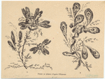 Image ID 819719