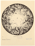 Image ID 819874