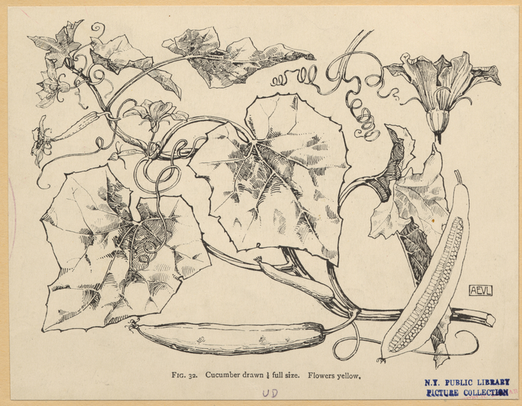 Image ID 819897
