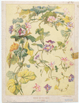 Image ID 819900