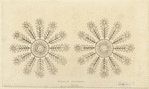 Image ID 819931