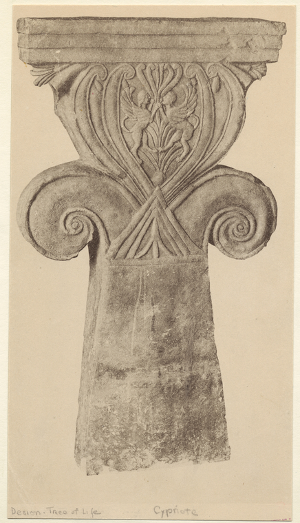 Image ID 819935
