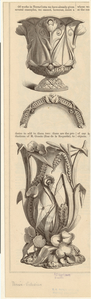 Image ID 819980