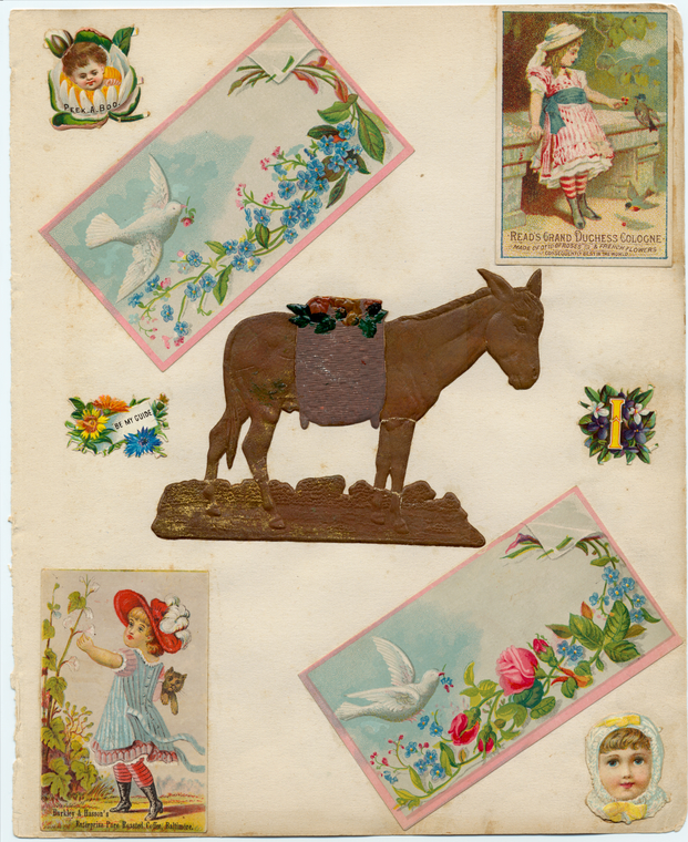 Image ID 819983
