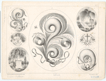 Image ID 819993