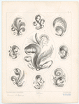 Image ID 819994