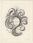 Image ID 819997