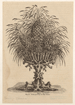 Image ID 820002