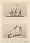 Image ID 820005