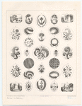 Image ID 820016