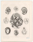 Image ID 820017