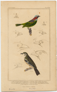Image ID 820021